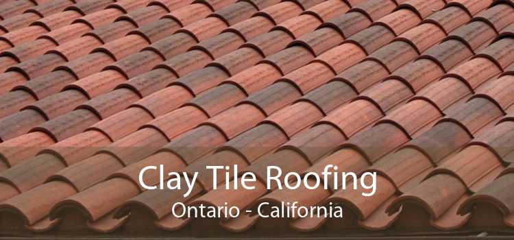 Clay Tile Roofing Ontario Terracotta, How To Replace A Clay Roof Tile