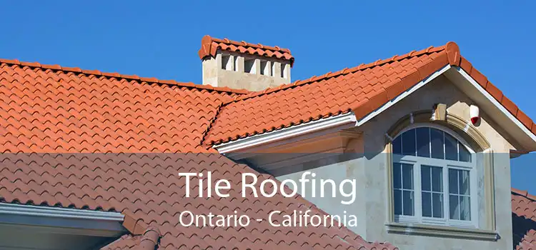 Tile Roofing Ontario - California